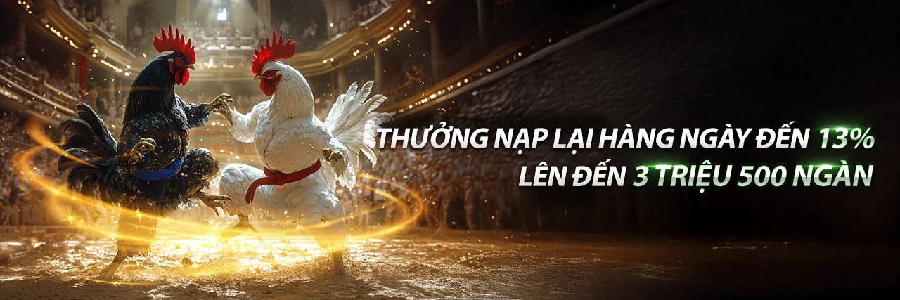 Đấu trường đá gà trực tuyến sôi động tại rr99 link