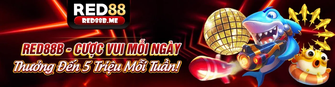 Hình ảnh giới thiệu rr99 link, nền tảng cá cược trực tuyến hàng đầu
